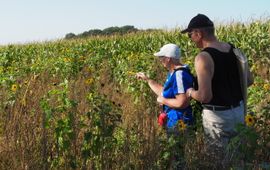 De vlindertellers van NMO liepen elke week een vaste route over de landerijen van enkele LandvanWaarde-boeren.