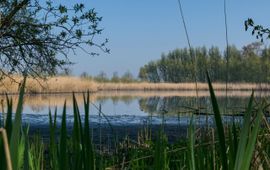 Biesbosch, Dordrecht, Pad tussen de Zuidhaven en Oosthaven