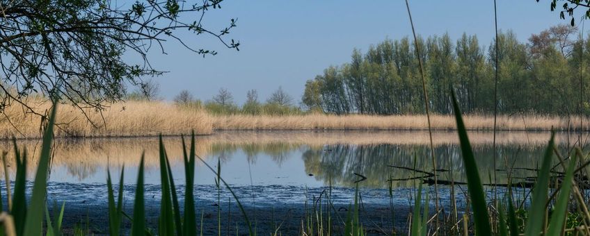 Biesbosch, Dordrecht, Pad tussen de Zuidhaven en Oosthaven