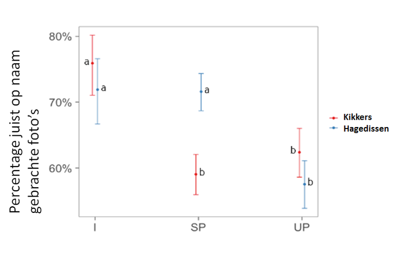 Het gemiddelde percentage van juist op naam gebrachte foto’s van kikkers (rood) en hagedissen (blauw) bij het gebruiken van illustraties (I), gestandaardiseerde foto’s op witte achtergrond (SP) en niet-gestandaardiseerde foto’s (UP). Het gemiddelde determinatiesucces van staafjes waar eenzelfde letter bij staat (a of b) verschilt niet significant van elkaar