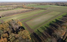 agrarisch natuurbeheer in de Achterhoek