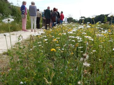 Mensen genieten van de bloemen in de idylle in Zuidwolde