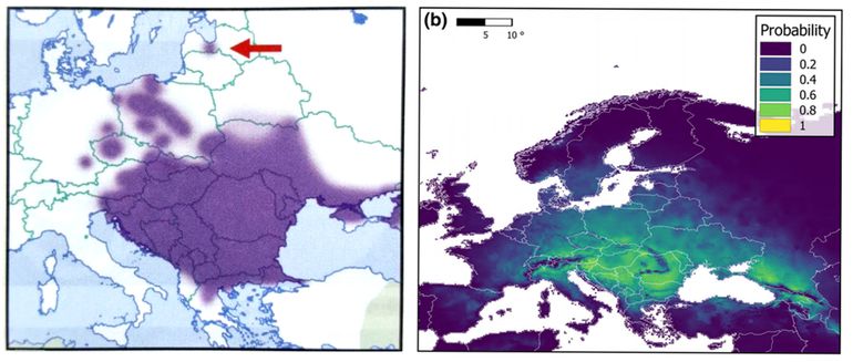 Verspreiding van Caucasotachea vindobonensis in Europa. Links: huidige verspreiding. Rechts: mogelijke toekomstige verspreiding, gebaseerd op modellen