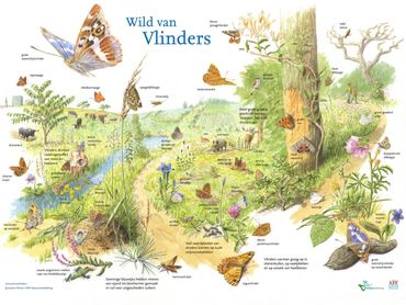 In het project 'Wild van vlinders' zijn Ark Natuurontwikkeling en De Vlinderstichting samen bezig vlinders te beschermen en natuurlijke processen te stimuleren.  Op het symposium kwam dit in de presentatie over rewilding aan de orde