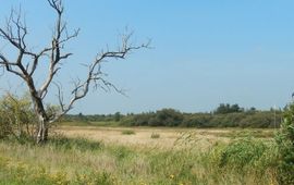 Kars Veling Moerputten - primair