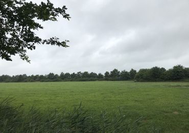 Het landschap met houtwallen in Laarbeek