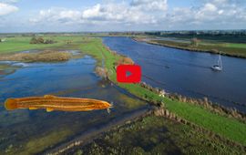 blikonderwater.nl grote modderkruiper film