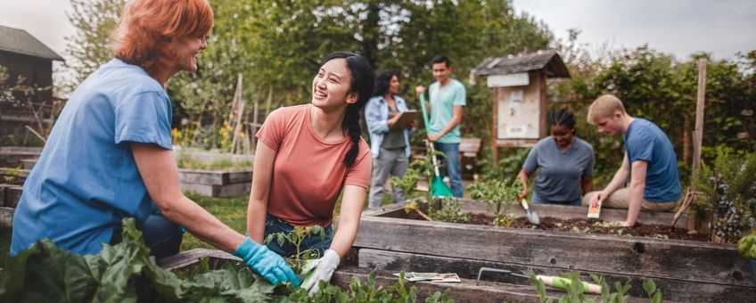 Sociale verbinding op een volkstuinpark. Rechten aangekocht door Naturalis Biodiversity Center. Niet te gebruiken door andere instituten.