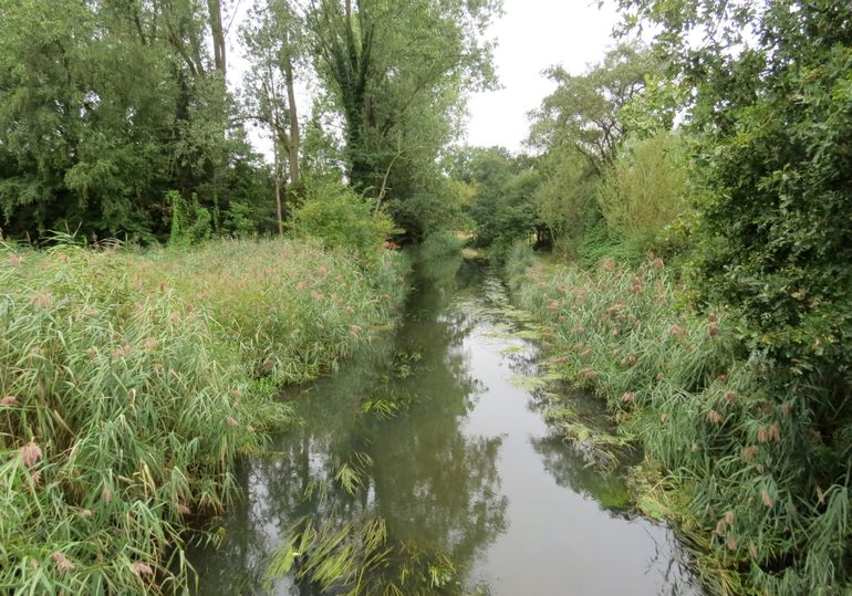 Beekje in het watermolenlandschap