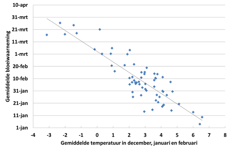 Gemiddelde bloeidatum van de hazelaar in Nederland in de periode 1900 tot en met 2016 uitgezet tegen de gemiddelde temperatuur in de meteorologische winter