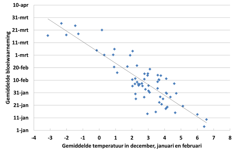 Gemiddelde bloeidatum van de hazelaar in Nederland in de periode 1900 tot en met 2016 uitgezet tegen de gemiddelde temperatuur in de meteorologische winter