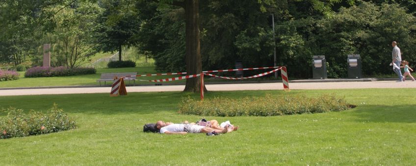 eikenprocessierups gras liggende mensen, lint om boom uitsnede