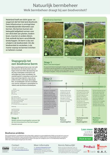 De poster voor natuurlijk bermbeheer helpt je stapsgewijs op weg naar een biodiverse berm