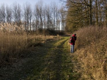 Je kunt het beste sleedoorn onderzoeken in de buurt van bestaande populaties