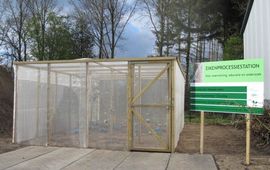 Silvia Hellingman Proefstation Eikenprocessierups Dieverbrug Drenthe.