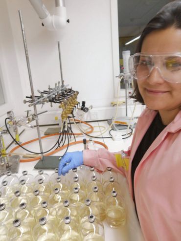 Diana verwerkt monsters met bacteriën in het anaerobe (zuurstofloze) lab
