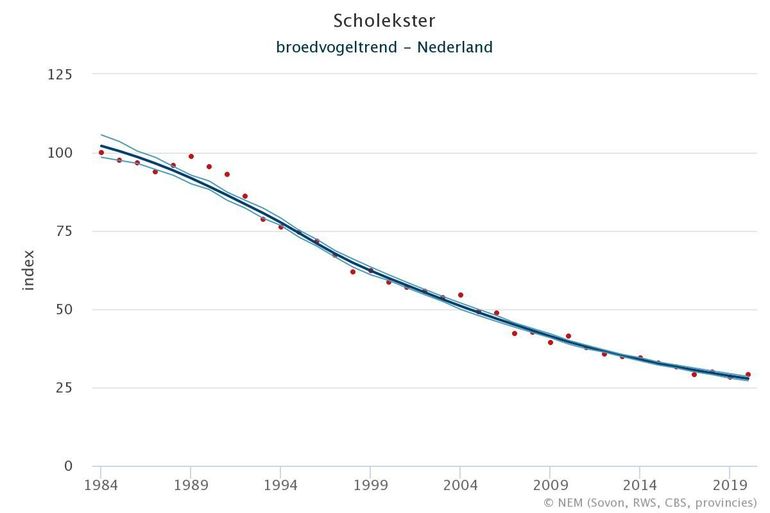 Broedvogeltrend van de scholekster