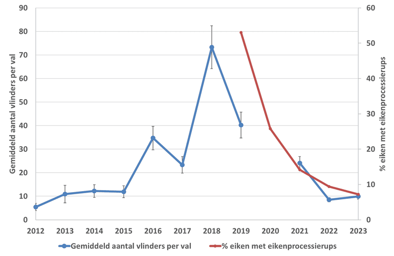 Blauwe lijn: verloop van het gemiddeld aantal vlinders per feromoonval sinds 2012 (in 2020 werkten de feromonen niet). Rode lijn: percentage eiken met eikenprocessierups sinds 2019