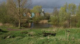 Gevarieerd landschap waar de onderdelen van de biodiversiteitsnorm samenkomen