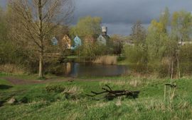 Gevarieerd landschap waar de onderdelen van de biodiversiteitsnorm samenkomen