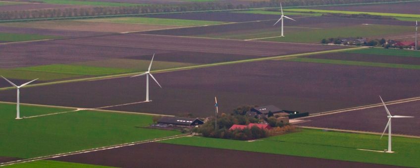 Grootstchalige en intensieve landbouw in zuidelijk Flevoland