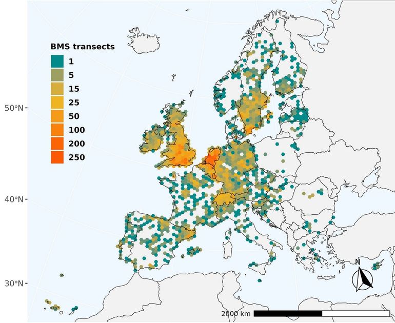 Density of butterfly monitoring transects since 1990