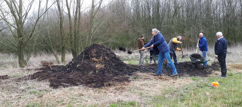 Omzetten van de ringslangbroeihoop op 24 maart 2018 door Ringslangwerkgroep Houten