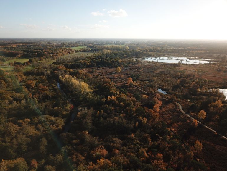 Watermolenlandschap 