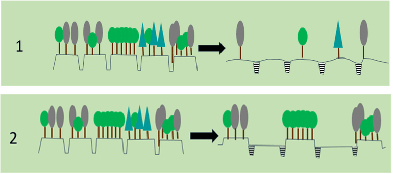 Scenario's voor het verwijderen van rabatten: 1. Alle rabatten afvlakken om de greppels te dempen. 2. De rabatten om en om afvlakken