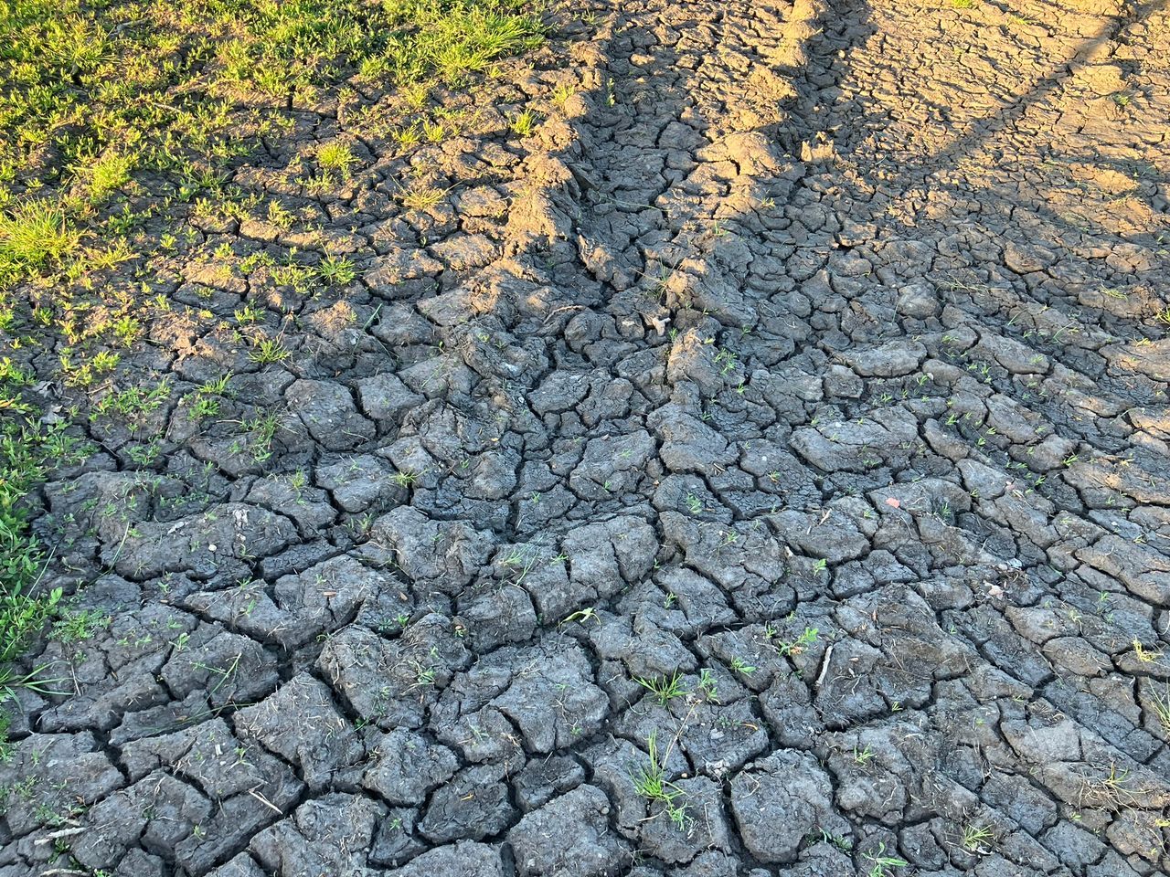 Nature Today | Grote kans op aanhoudende droogte door lage waterreserves in Europa