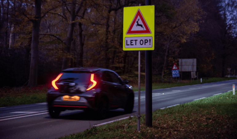 Waarschuwingsbord overstekend wild