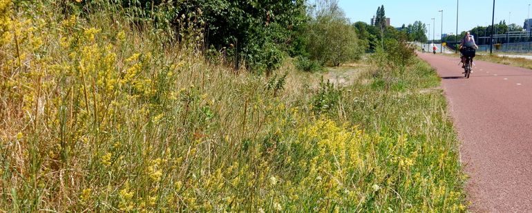 Bedrijven die met Kleurkeur werken zorgen voor bloemrijke biodiverse bermen