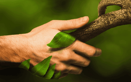 handshake with nature