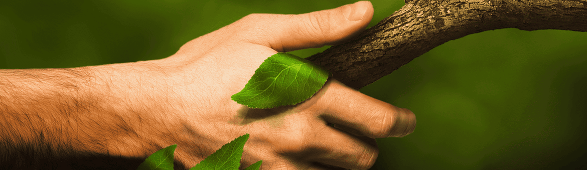 handshake with nature