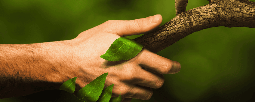 handshake with nature