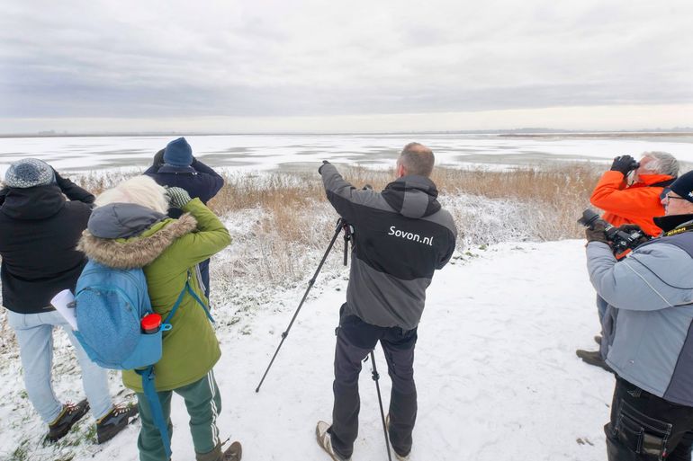 De Water- en wintervogelcursus wordt afgesloten met een excursie onder leiding van een ervaren vogelaar