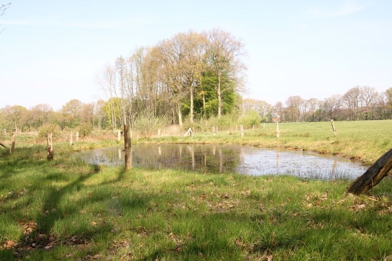 Landschapselementen zoals poelen zorgen voor een leefgebied voor planten en dieren. Ook dragen ze bij aan een netwerk, zodat soorten zich van A naar B kunnen verplaatsen