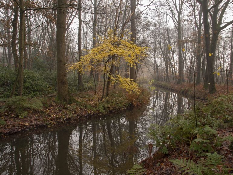 De Oude Leij