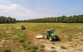 Staatsbosbeheer Maaibeheer