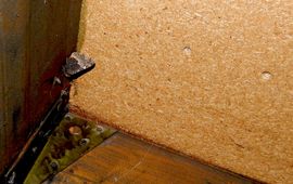 Kars Veling kleine vos overwinterend - primair