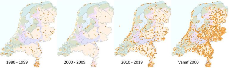 Verspreiding grote vos in vier perioden