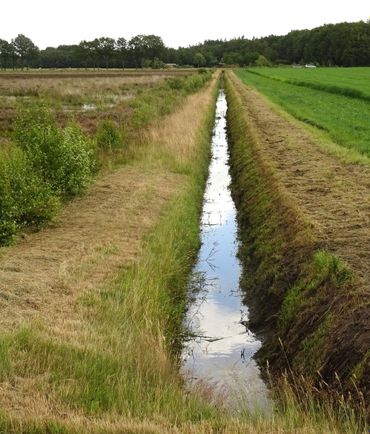 Welke vorm van landgebruik kan Natura 2000-doelen ondersteunen?