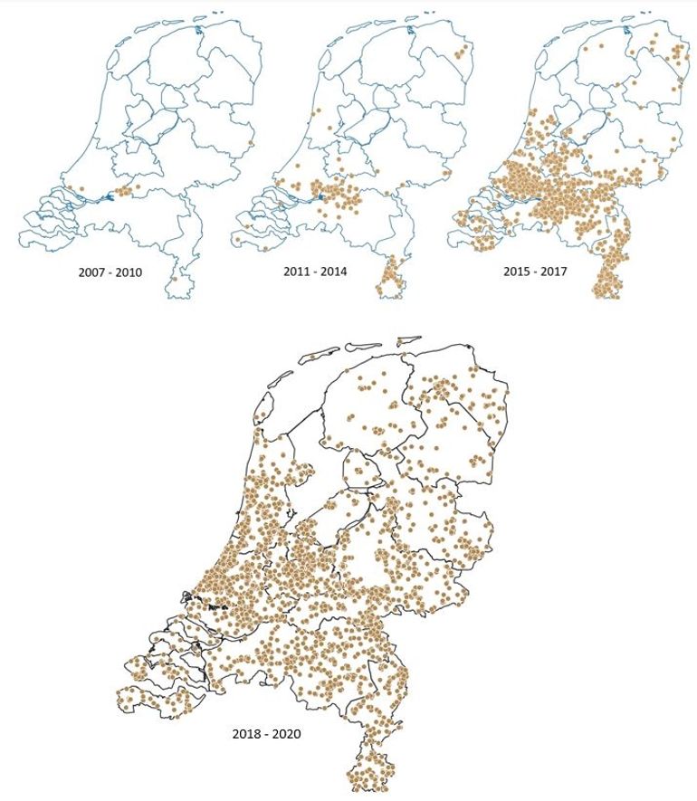 De buxusmot heeft Nederland heel snel gekoloniseerd
