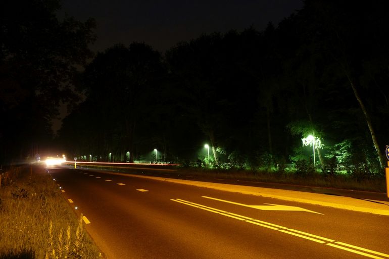 Nachtbeeld weg met oude groene verlichting voor dieren