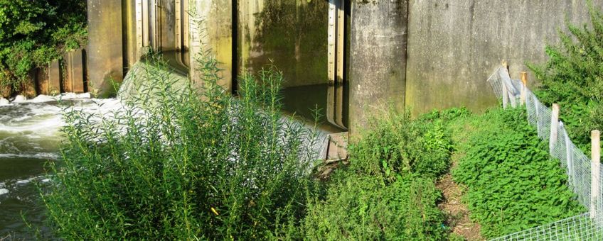 Voorzieningen voor otterpassage.