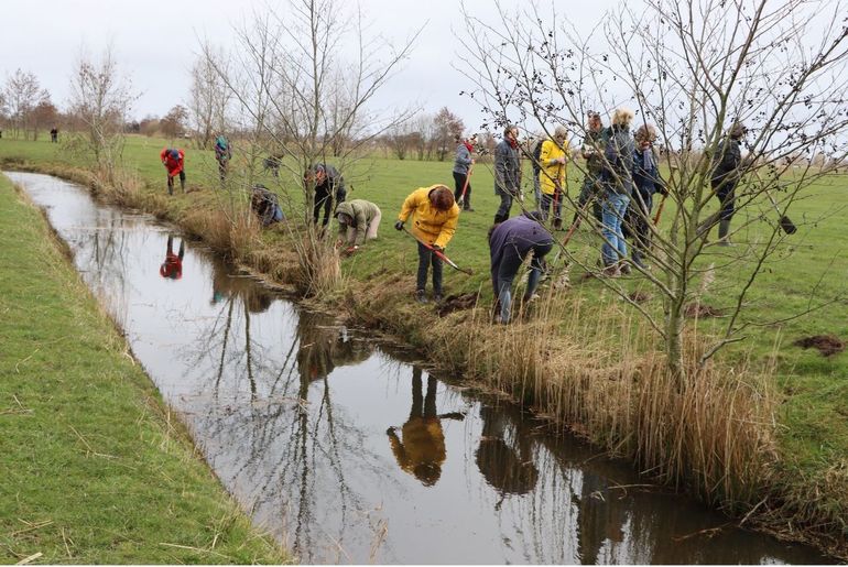 Tijdens een boomplantdag planten vrijwilligers in de Noordelijke Friese Wouden bomen en struiken om de singel dichter te maken