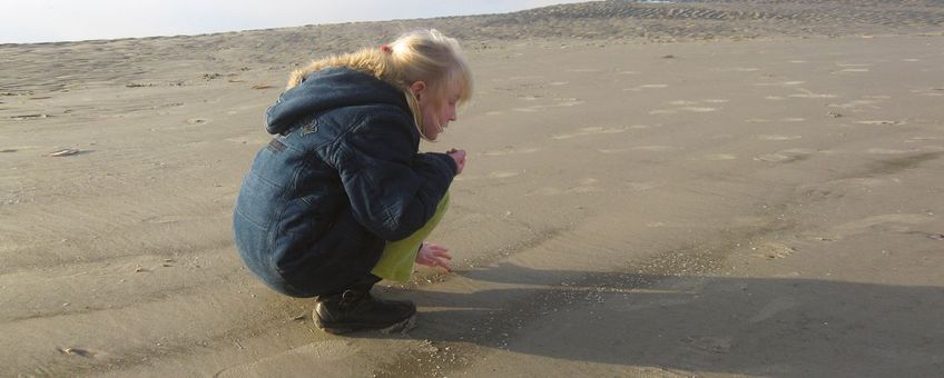 nieuwgsierig zijn en goed kijken; in fijn aanspoelsel zitten de mooiste dingen