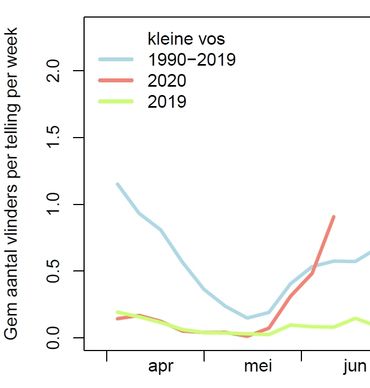 Aantal kleine vossen in de monitoringroutes tot half juni