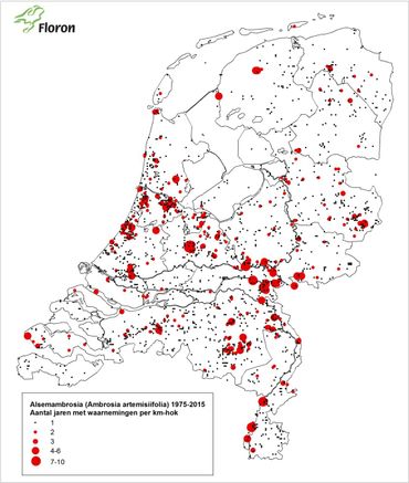 Hotspots van Alsemambrosia in Nederland op basis van aantal jaren met waarnemingen in de periode 1975 t/m 2015