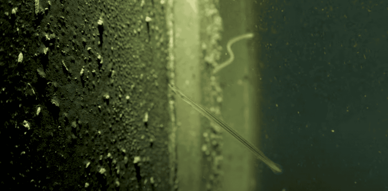 Glasaal bij migratieknelpunt